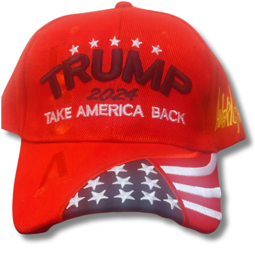 TRUMP 2024 TAKE AMERICA BACK SNAP BACK HAT image 0